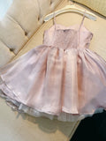 Simple A Line Spaghetti Straps Pink Short Homecoming Dresses 18th Birthday Outfit HZ1024