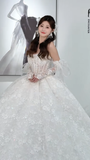 Dreamy Ball Gown Strapless Tulle Lace With Sleeves Long Wedding Dresses HZ1024