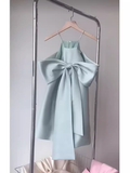 Cute A Line Spaghetti Straps 18th Birthday Dress Short Homecoming Dresses HZ1024