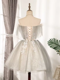 Vintage A line Off The Shoulder Tulle Homecoming Dress 18th Birthday Outfits HZ1024