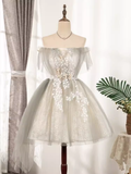 Vintage A line Off The Shoulder Tulle Homecoming Dress 18th Birthday Outfits HZ1024