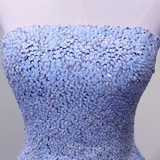 Elegant A line Strapless Sleelves Long Light Sky Blue Prom Dress HZ1024